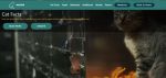 MP4 Background Video Block for V4
