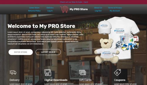 My PRO Store System Template for V4